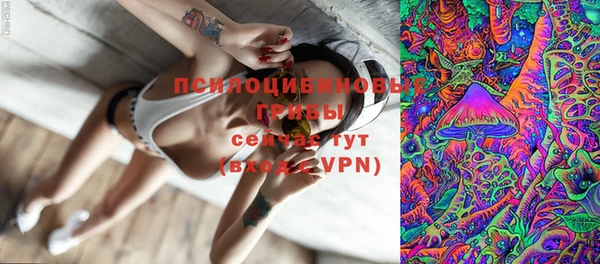 дживик Белоозёрский