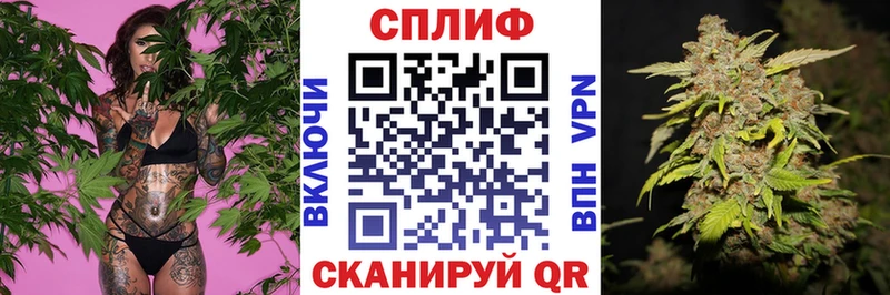 закладки  Гремячинск  МАРИХУАНА индика 